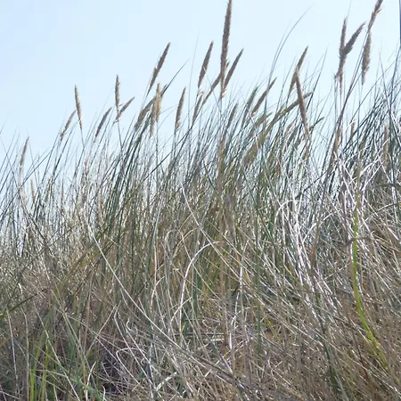 Haus Niedersachsen 3 アパート